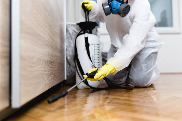 Pest Prevention Services in Park Forest Village, PA