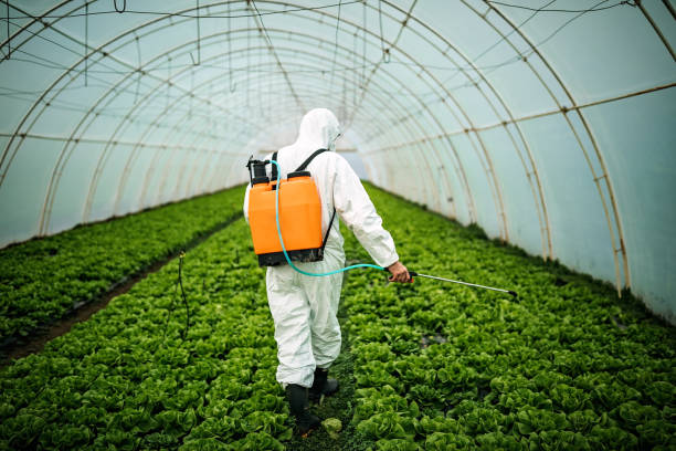 Best Commercial Pest Control Services  in Rk Forest Village, PA