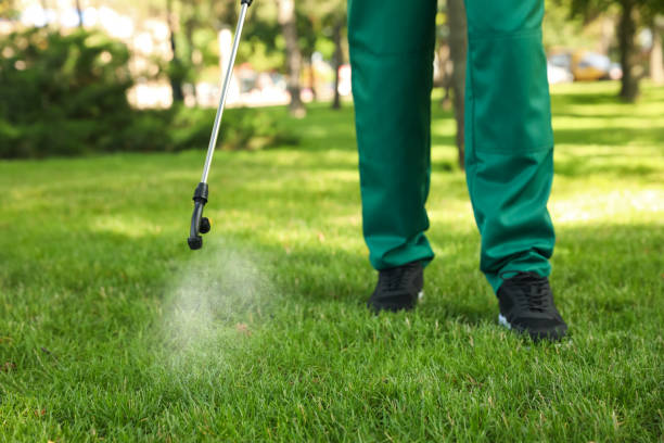 Best Best Pest Control Companies  in Rk Forest Village, PA