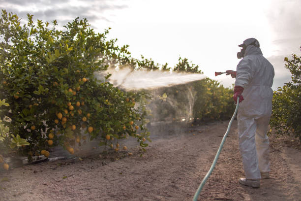 Best Cockroach Control Services  in Rk Forest Village, PA