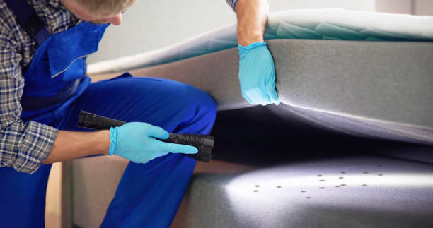 Best Ant Control Services  in Rk Forest Village, PA