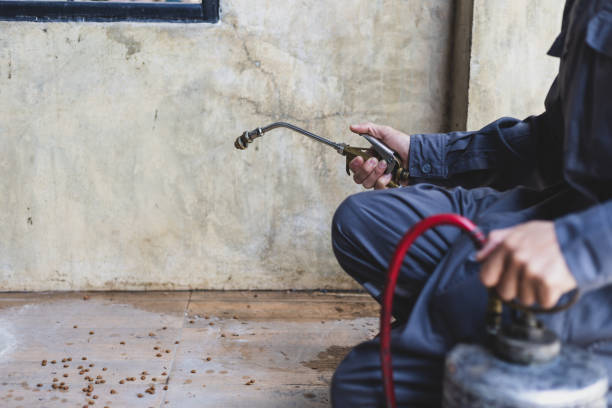 Best Affordable Pest Control Services  in Rk Forest Village, PA
